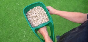 How Often Should You Fertilise Your Lawn